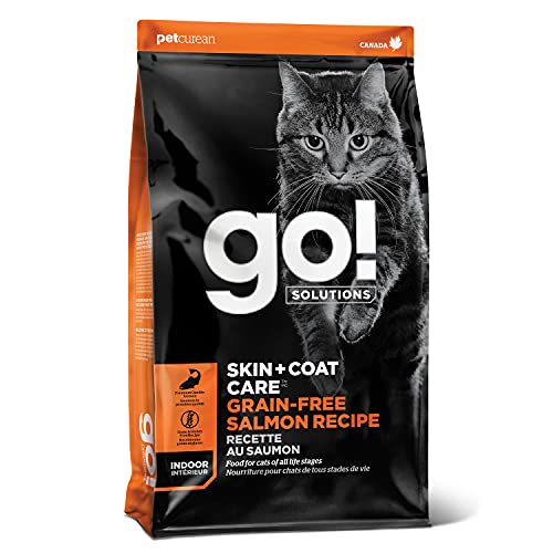 How to Stop My Cat from Begging for Food: Effective Solutions Inside!