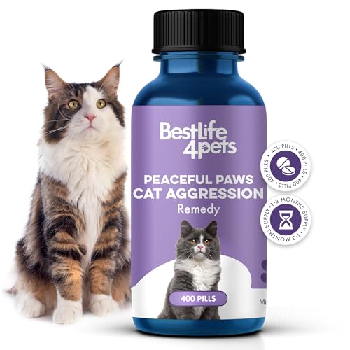 How to Stop My Cat from Being Food Aggressive: Effective Solutions Explained