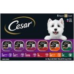 Who Makes Cesar Dog Food