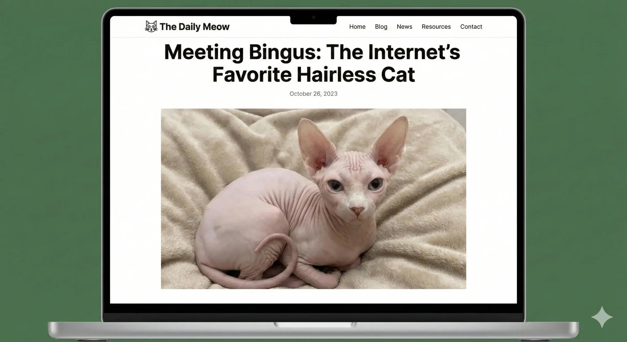 The Rise of Bingus: Understanding Its Popularity in Online Culture